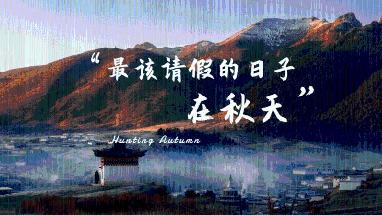 兰博基尼填颜色