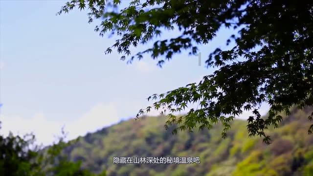 海天瑞声2023年预亏 正拟定增募6.66亿2021上市募4亿