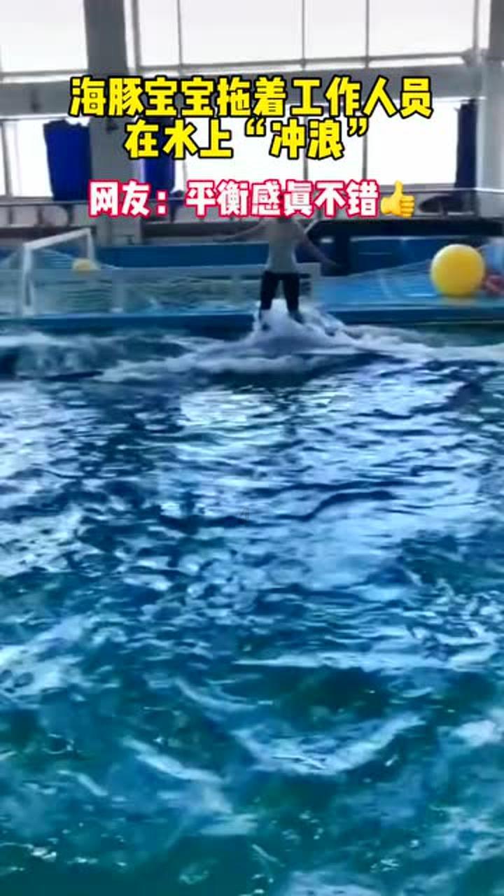 又一文化基因被